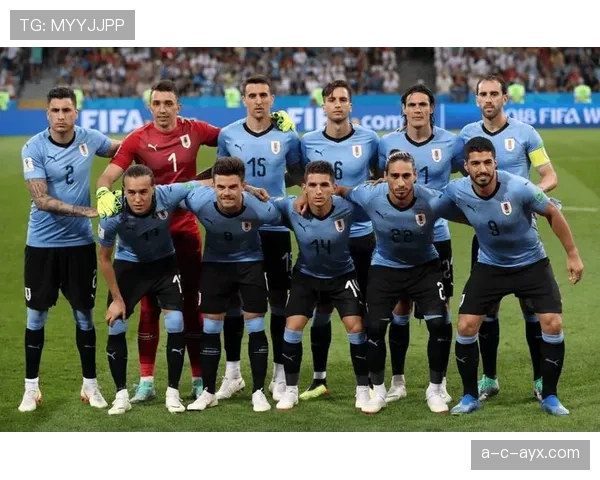 南美足坛格局重塑：巴西阿根廷持续领跑，乌拉圭强势崛起