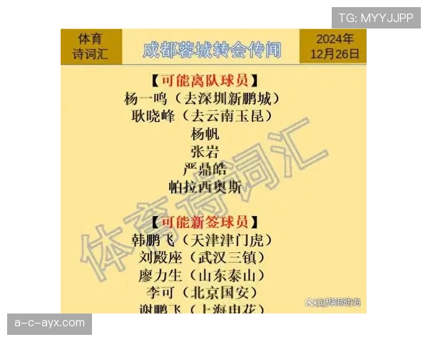 新星加盟引爆期待，球队全新阵容剑指赛季荣耀