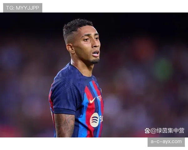 拉菲尼亚训练完顺手给家里泳池换水，这日子谁顶得住啊